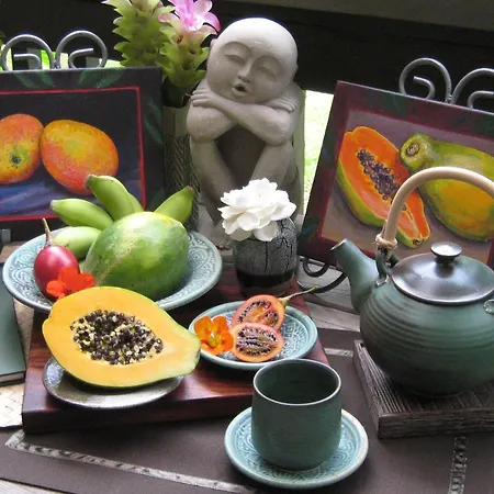 Volcano Artist Cottage